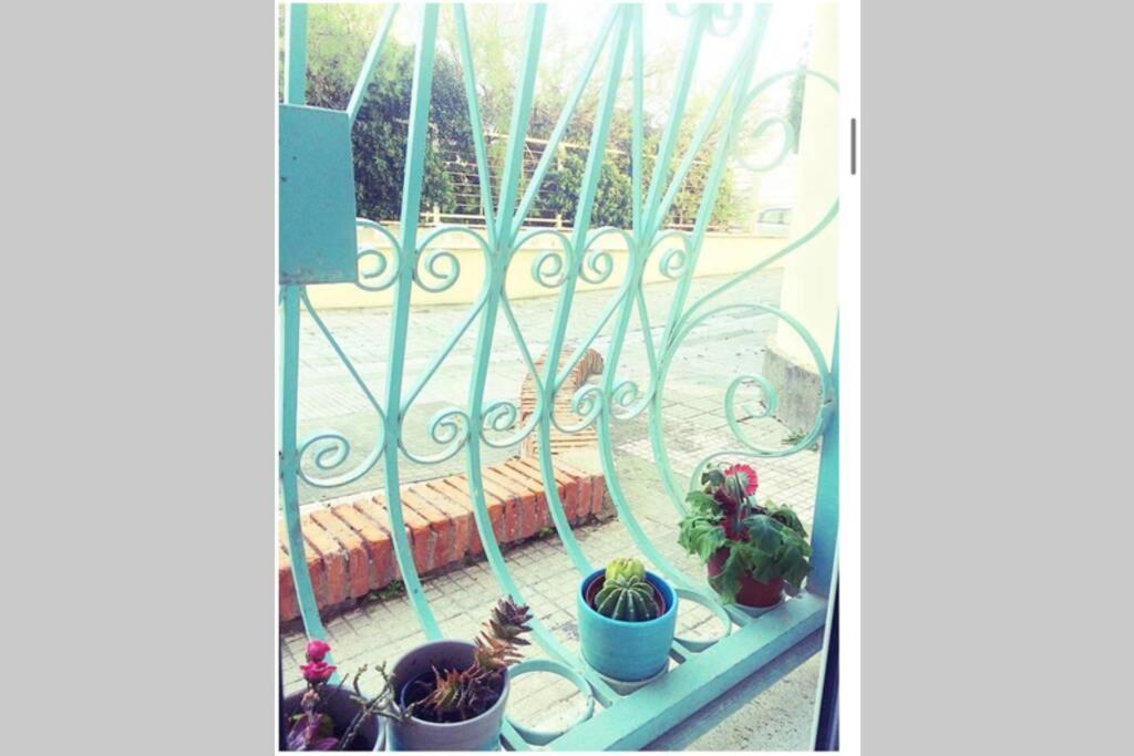 Cosy Studio Flat On The Seaside Apartamento Lido di Ostia Exterior foto
